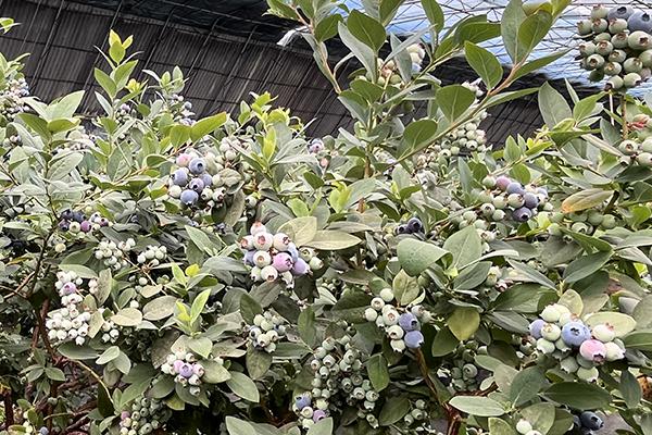 南宫娱乐·NG28(中国集团)官方网站